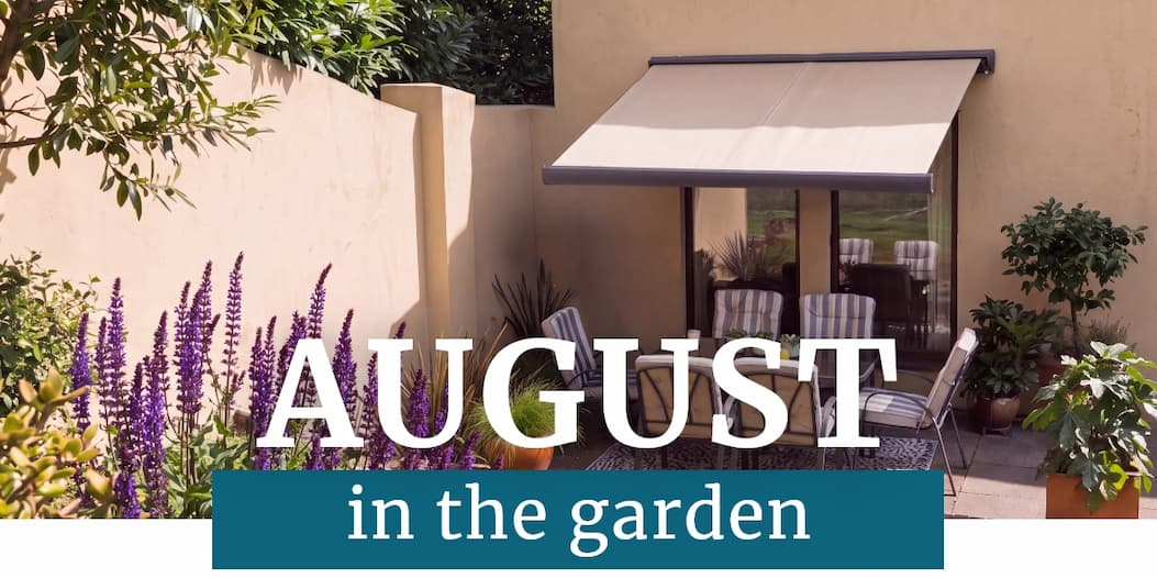 august in the garden