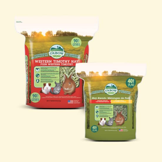ALL Oxbow Small Animal Hay