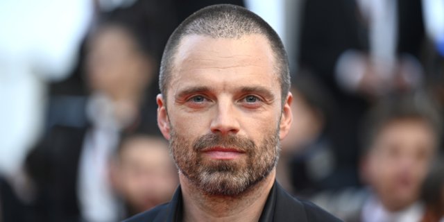 Sebastian Stan est papa