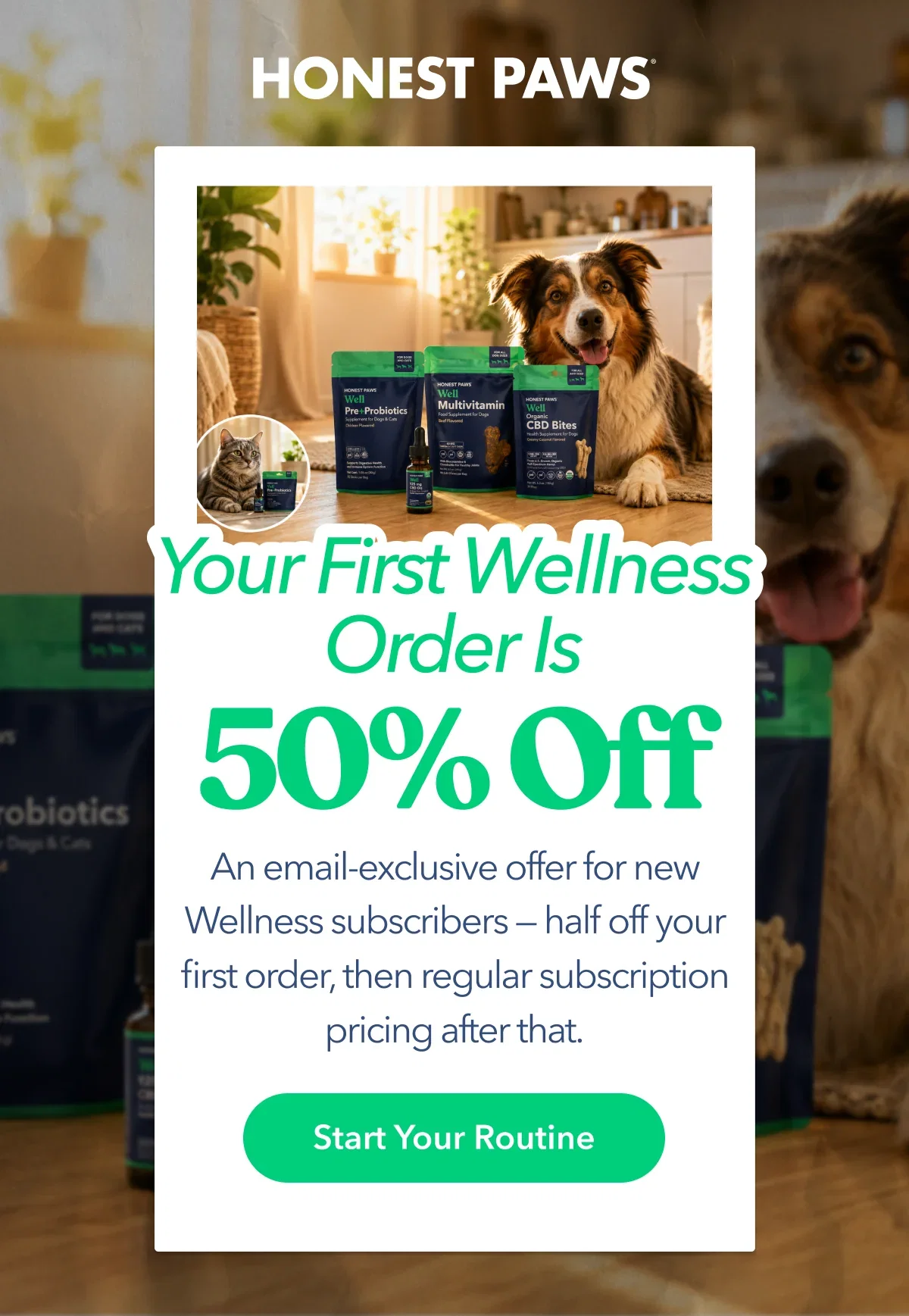 Email Exclusive: Wellness First-Order 50 — Launch — 50% off your first Wellness subscription order