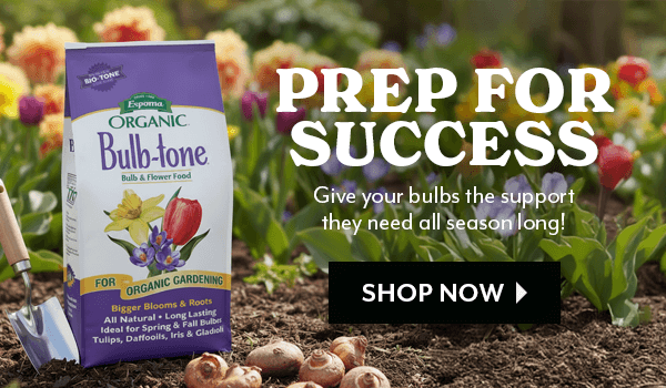 Bulb Supplies