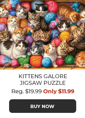 Kittens Galore