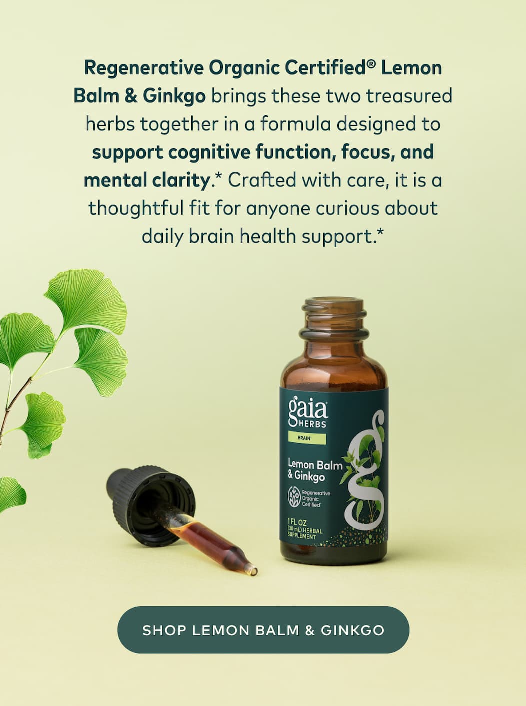 Shop Lemon Balm & Ginkgo
