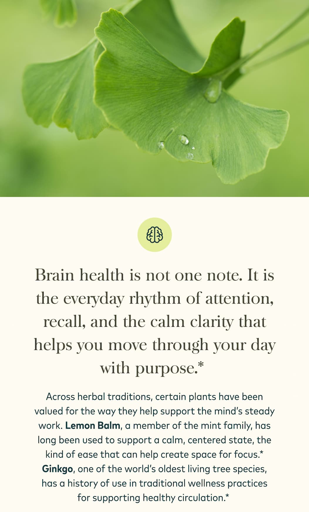 Lemon Balm & Ginkgo