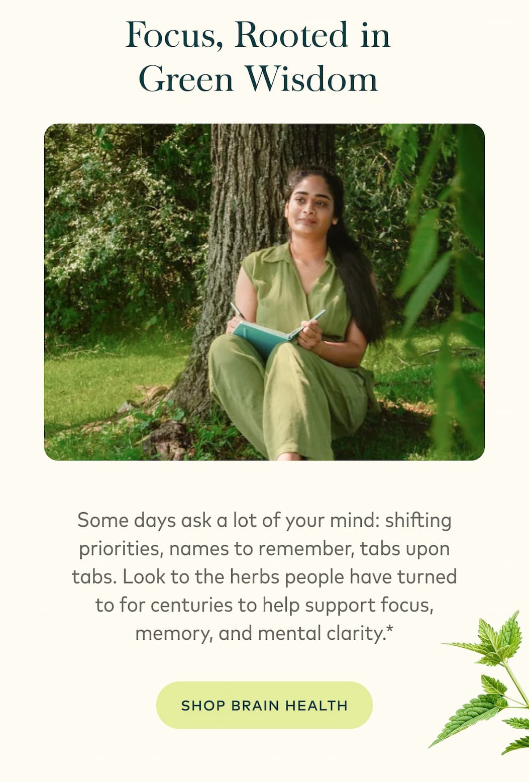 Shop Brain Health
