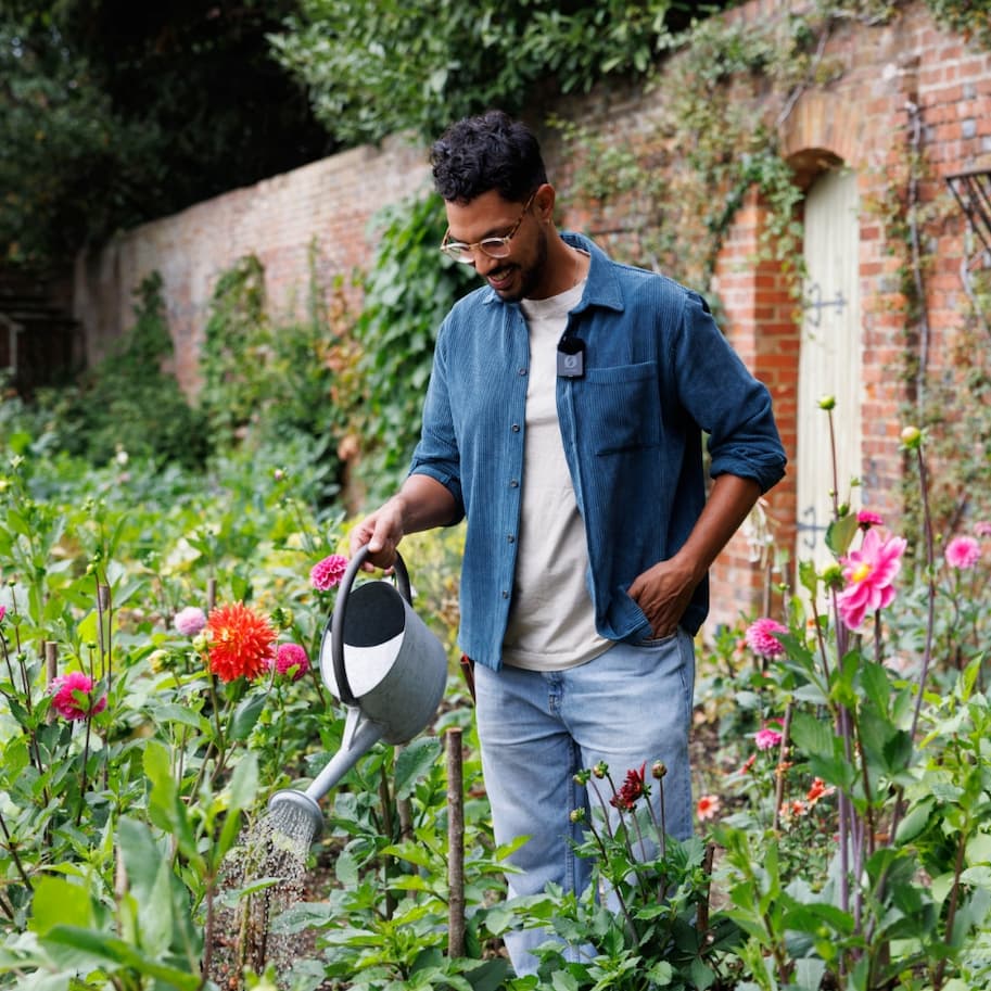 Keep your dahlias blooming