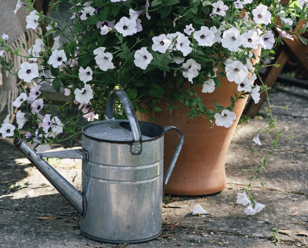 Keep containers looking great