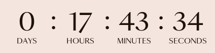 Countdown Timer