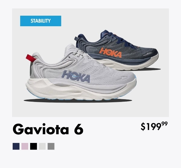 gaviota 6