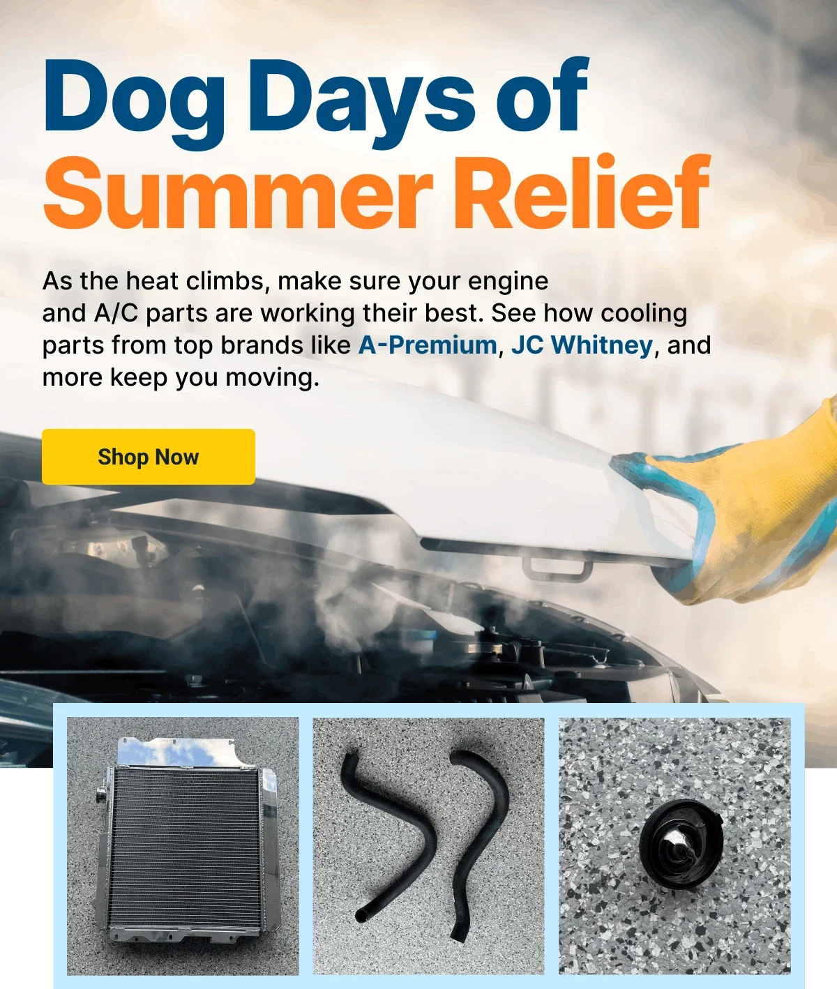 Dog Days of Summer Relief | Shop Now