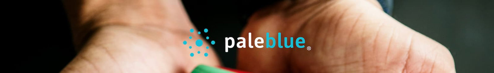 Shop Paleblue