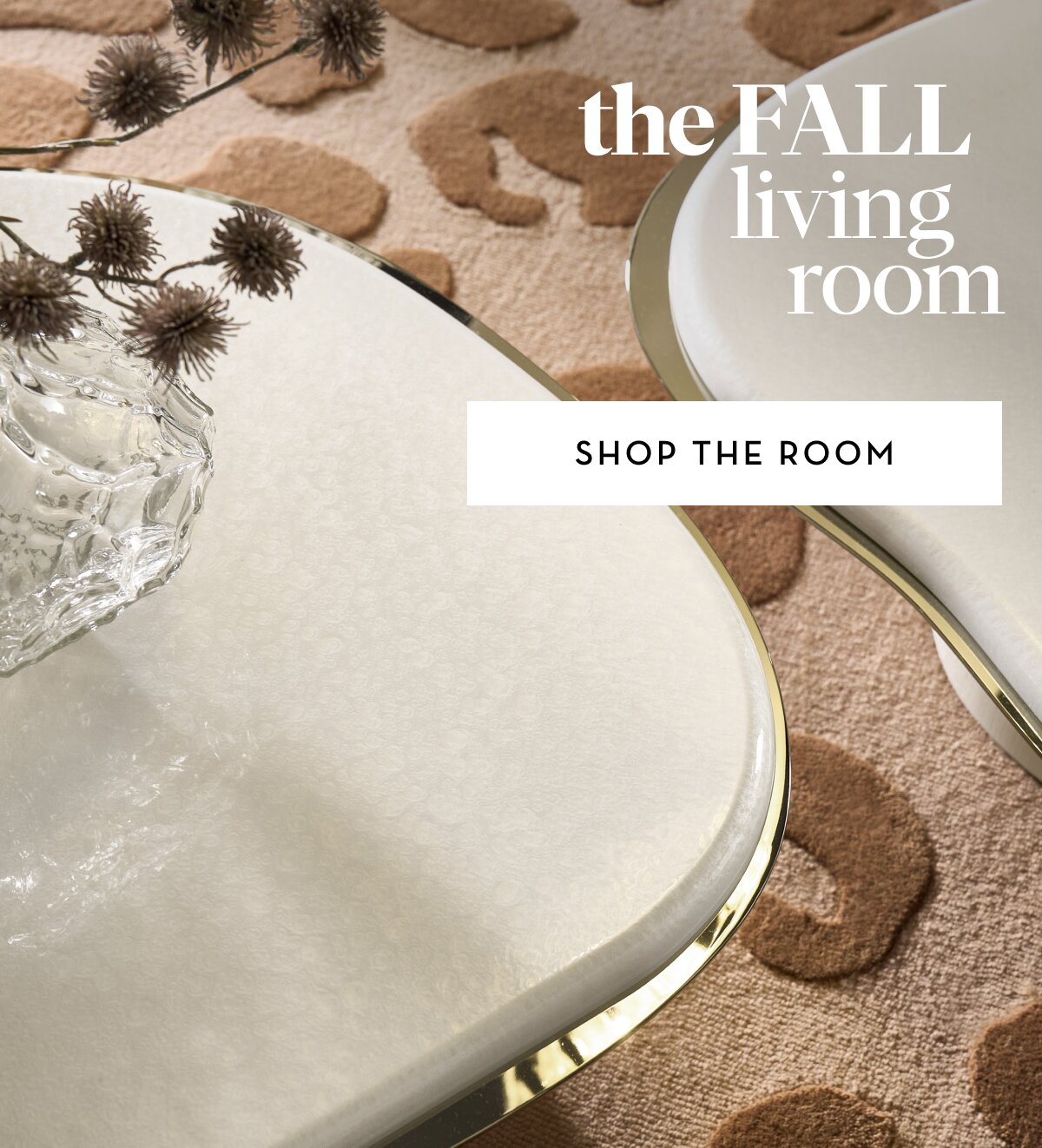 Shop The Room
