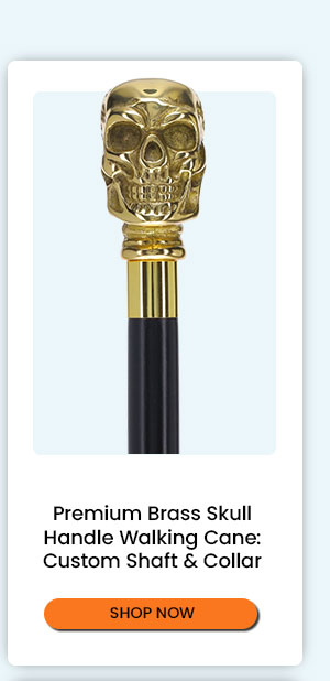 Premium Brass Skull
