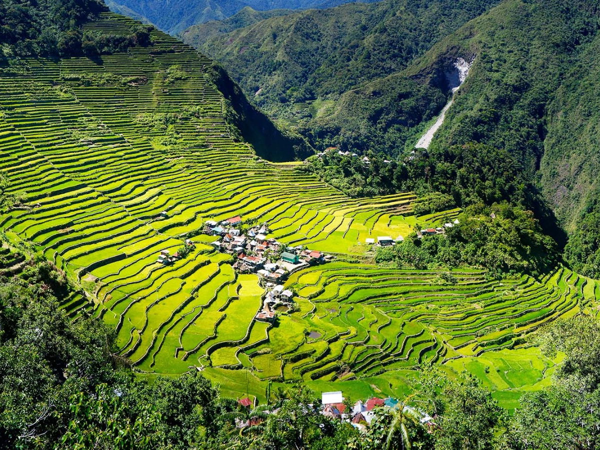 Rice Terraces, Philippines
