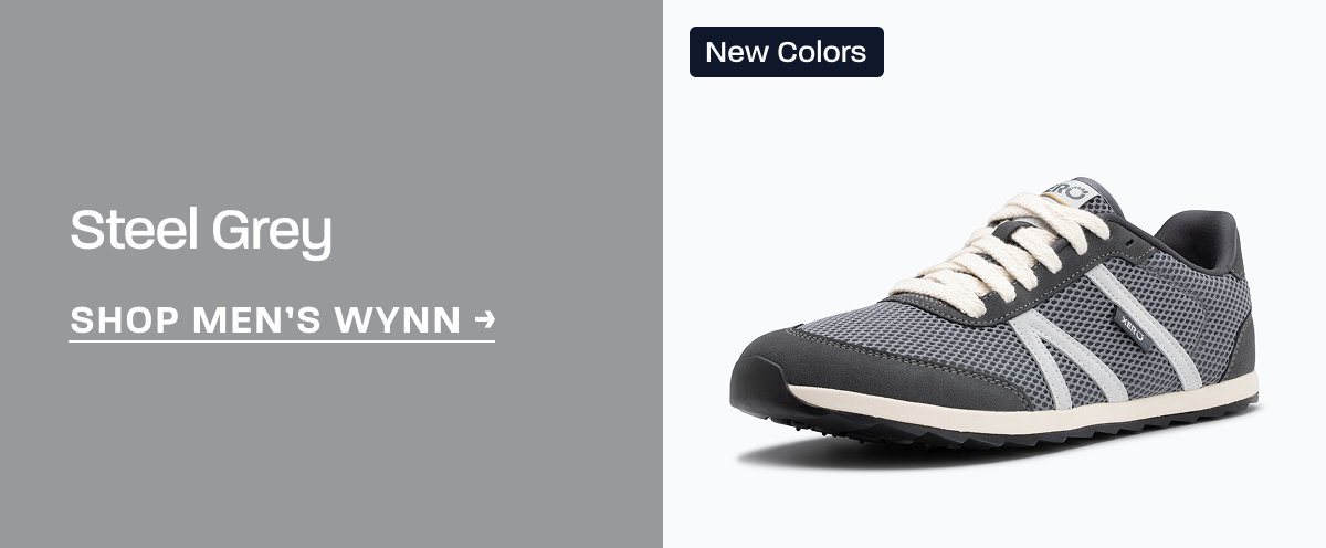 Shop Wynn Steel Gray