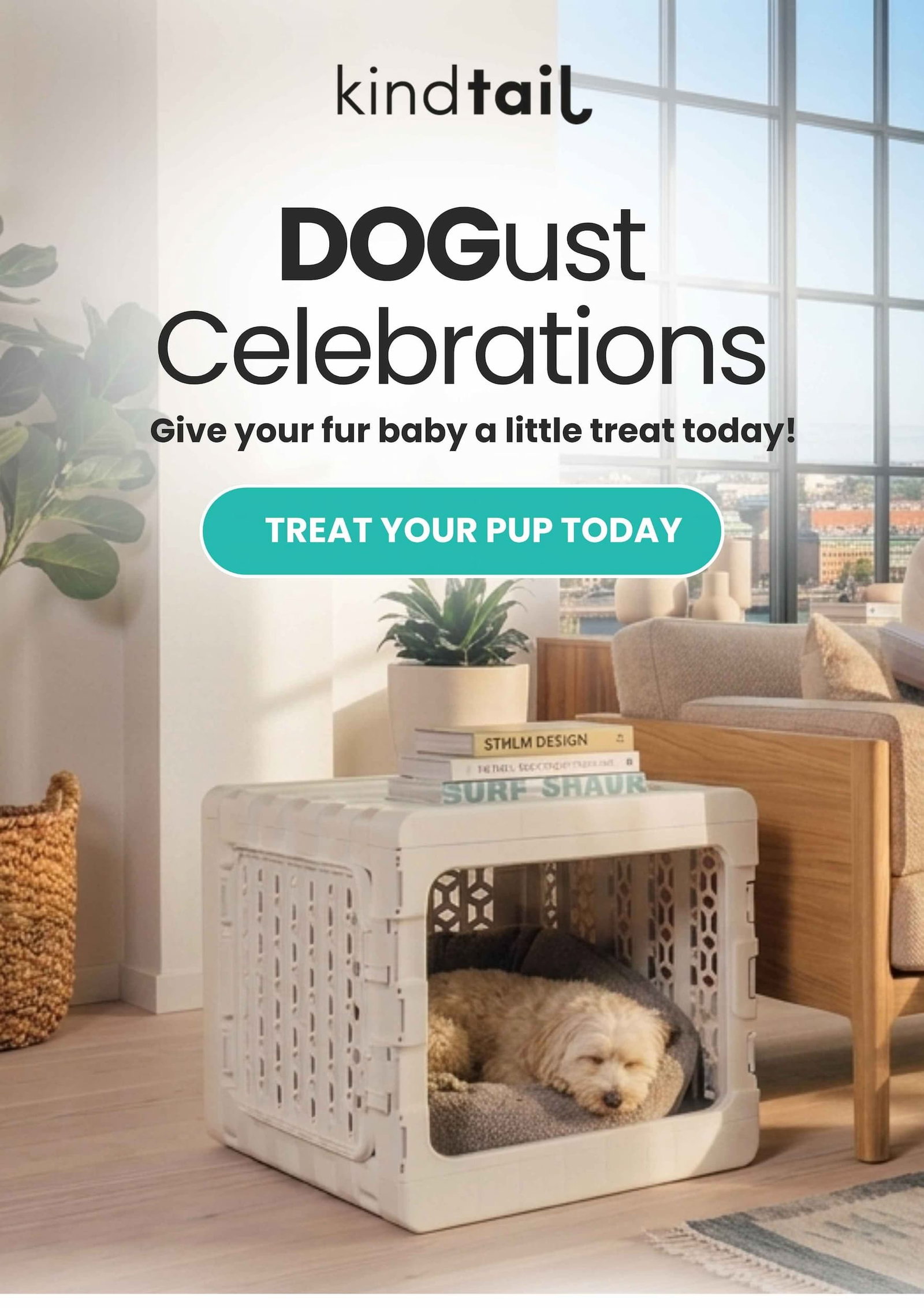 DOGust Celebrations Give your fur baby a little treat today!