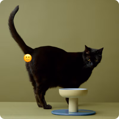A photo of black cat looking at Smalls' food