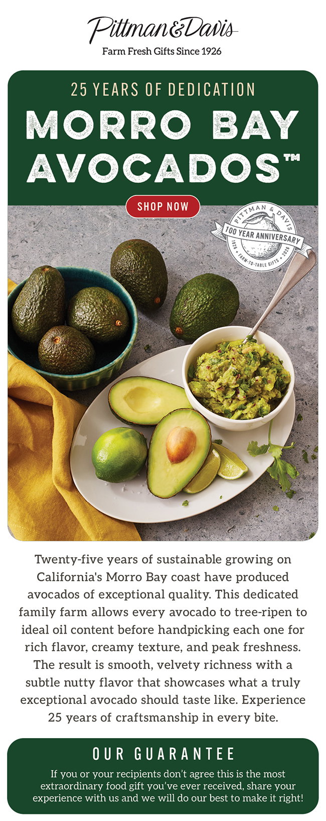 Morro Bay Avocado