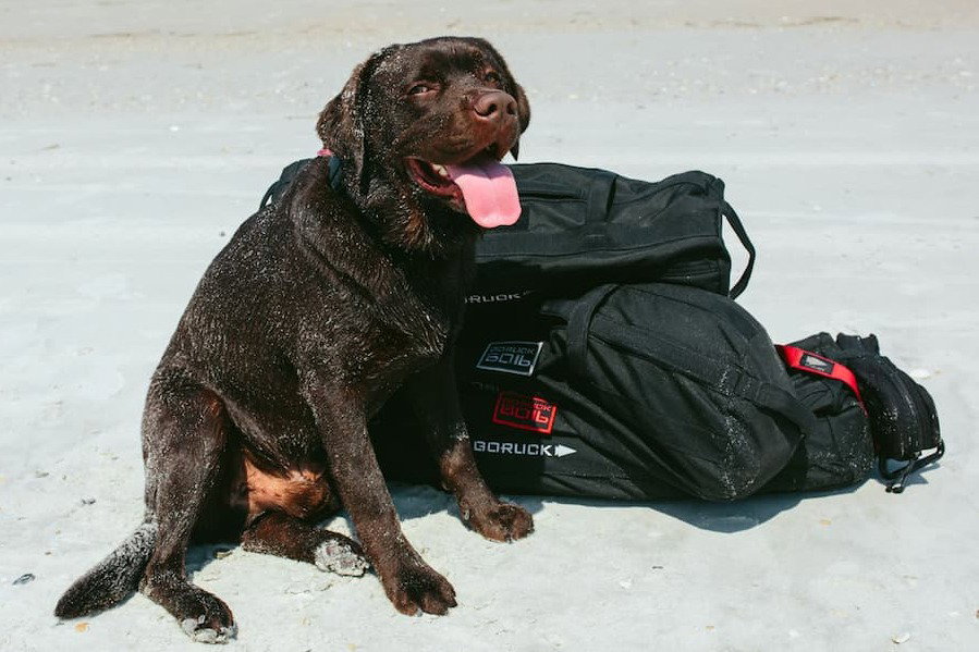 Monster, President, GORUCK Nation