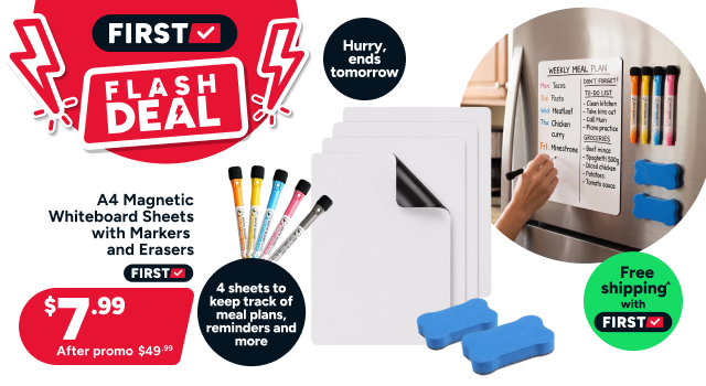 A4 Magnetic Whiteboard Sheets with Markers and Erasers