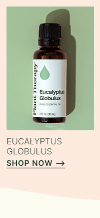 Shop Eucalyptus Globulus