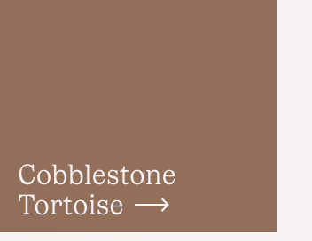 Cobblestone Tortoise