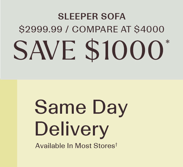 Sleeper sofa. Same day delivery.