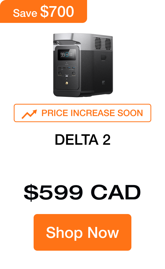 DELTA 2 $599 CAD