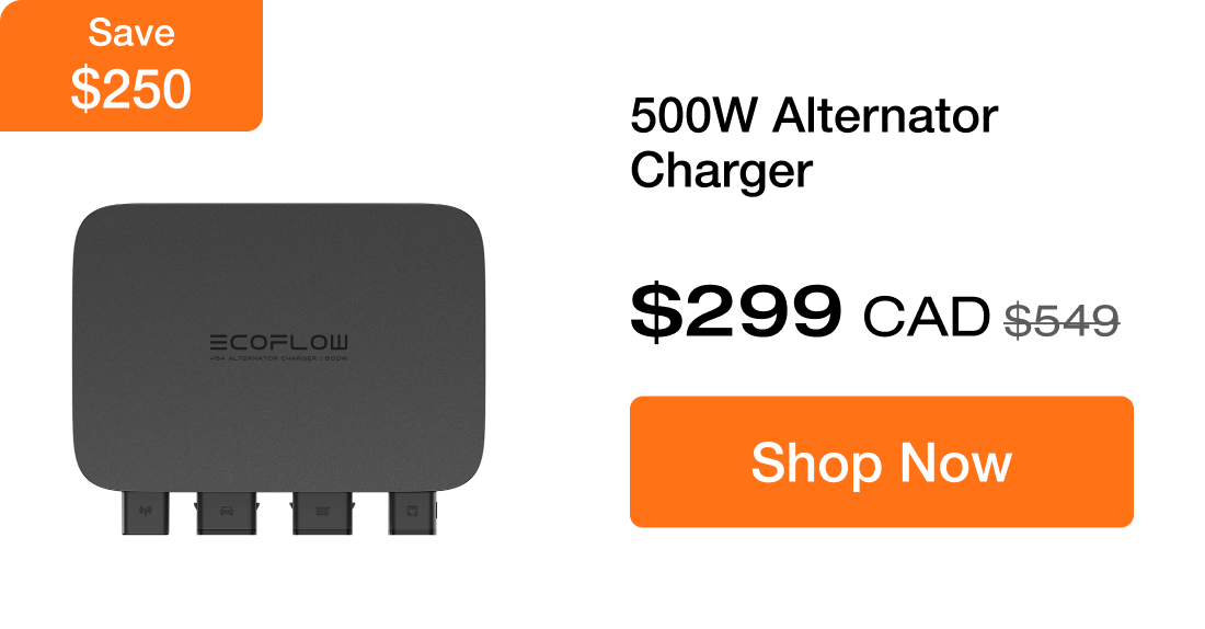 500W Alternator Charger $299