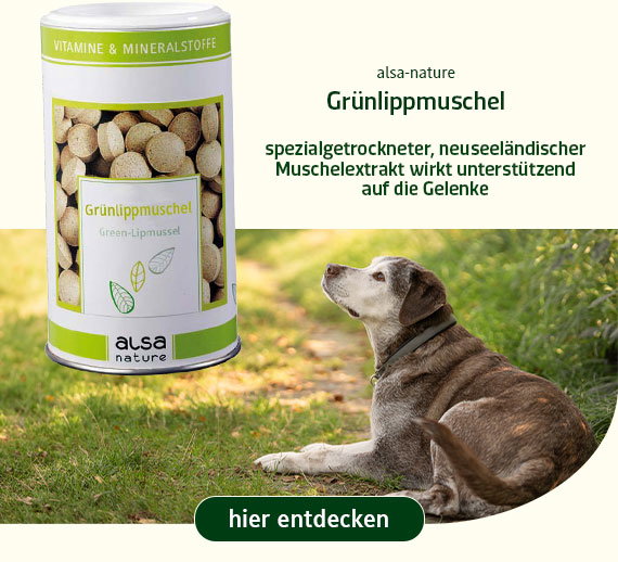 alsa-nature
Grünlippmuschel
