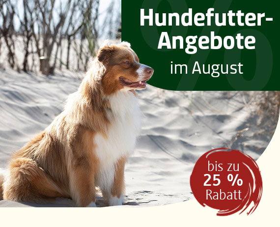 ANGEBOTE im August