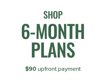 Shop 6-Month Plans