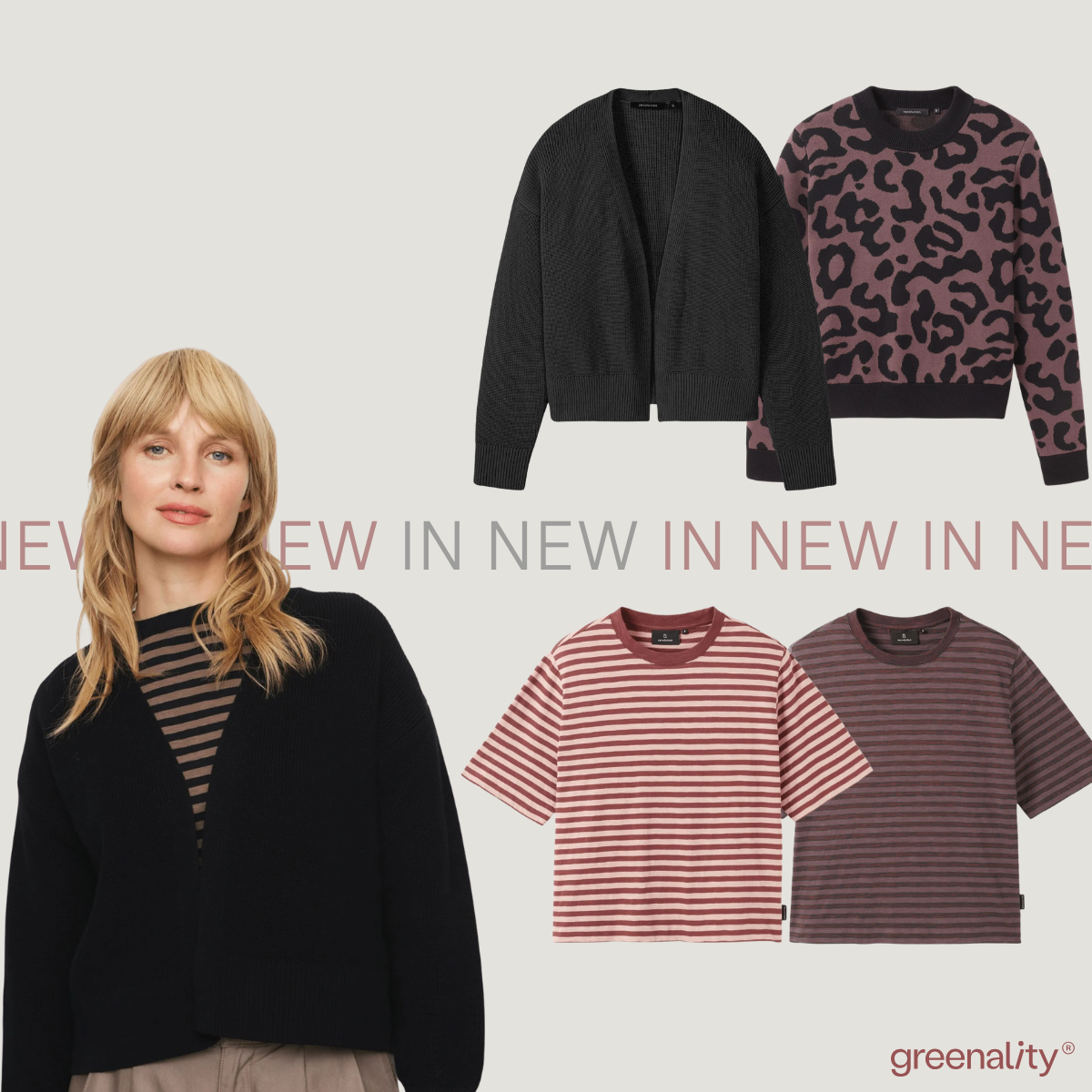 Newsletter Header