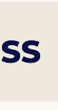 CleanBoss
