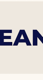 CleanBoss