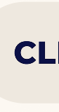 CleanBoss