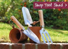 Shop Tool Shed