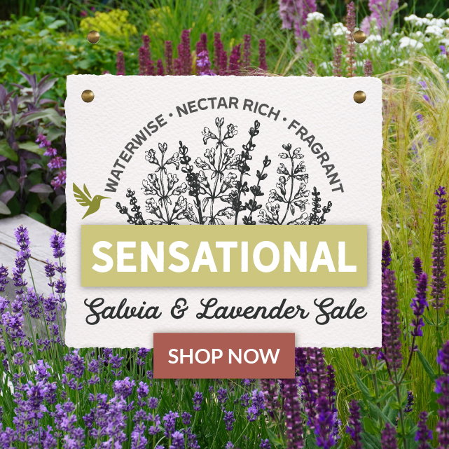Save Up To 10%