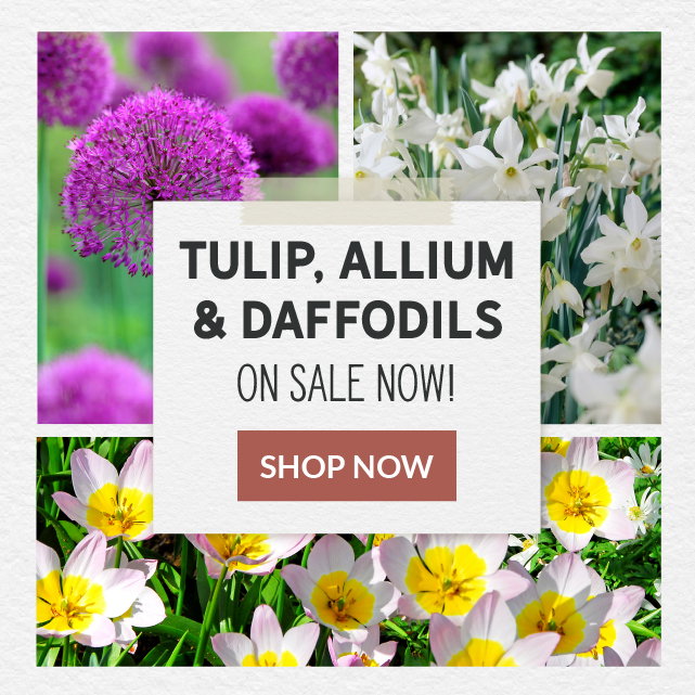 Save Up To 20%