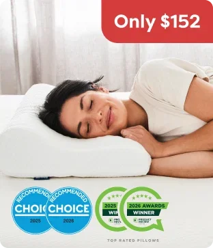 Shop Ecosa Pillow