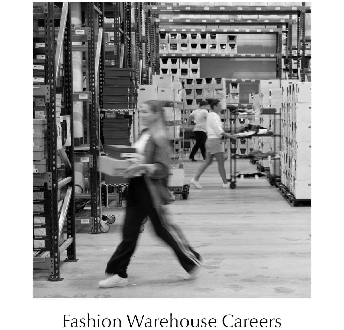 Fashion Warehouse Careers. Image or workers in warehouse.