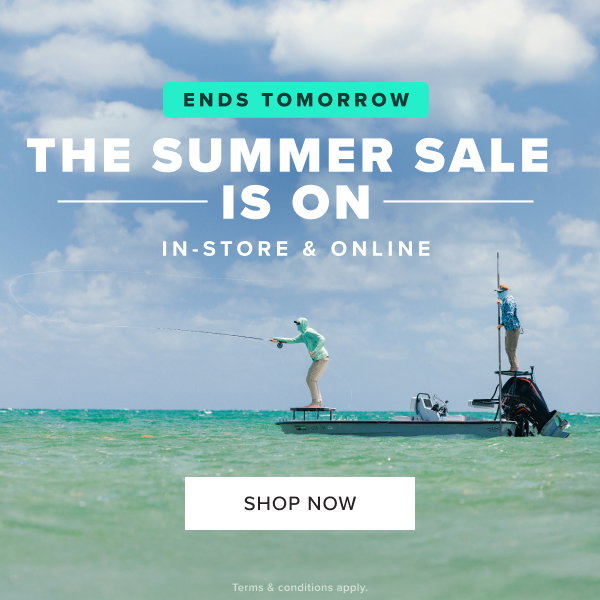 The Summer Sale ends tomorrow!