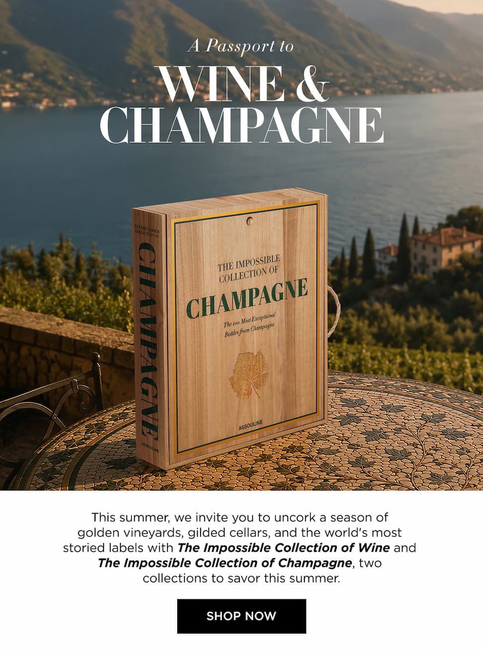 A Passport to Wine & Champagne