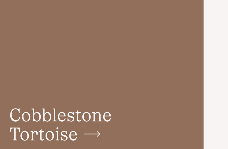 Cobblestone Tortoise