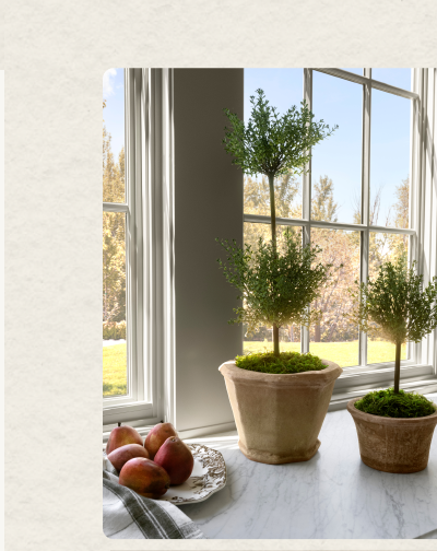 Faux Myrtle Topiary Drop-In