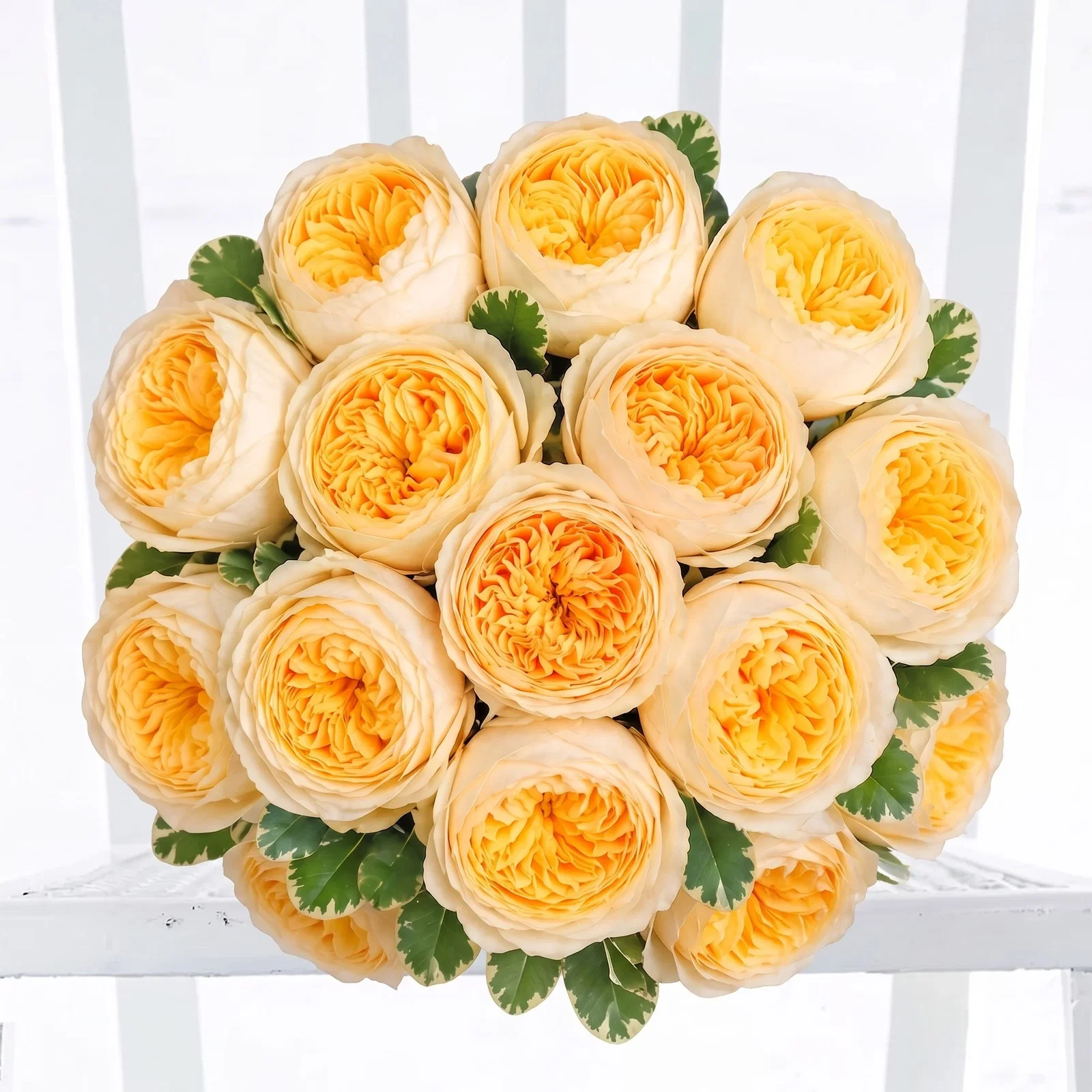 Image of Lemon Garden Roses