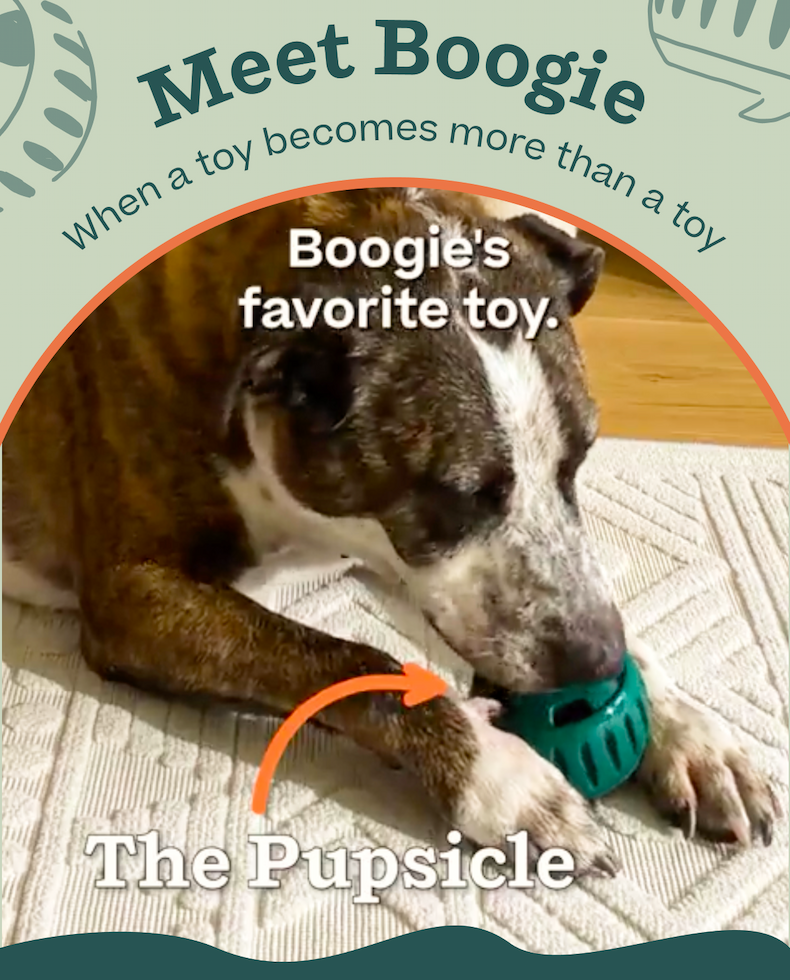 Shop Pupsicle