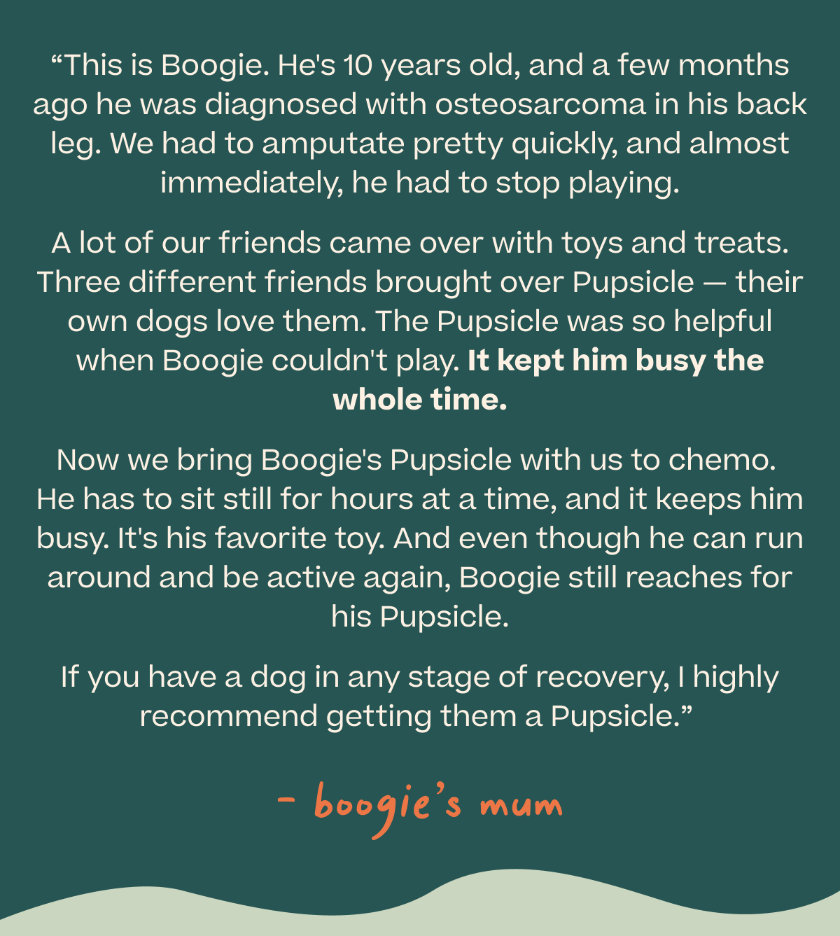 “This is Boogie. He's 10 years old, and a few months ago he was diagnosed with osteosarcoma in his back leg. We had to amputate pretty quickly, and almost immediately, he had to stop playing. A lot of our friends came over with toys and treats. Three different friends brought over Pupsicle — their own dogs love them. The Pupsicle was so helpful when Boogie couldn't play. It kept him busy the whole time. Now we bring Boogie's Pupsicle with us to chemo.  He has to sit still for hours at a time, and it keeps him busy. It's his favorite toy. And even though he can run around and be active again, Boogie still reaches for his Pupsicle. If you have a dog in any stage of recovery, I highly recommend getting them a Pupsicle.”  — boogie’s mum |Shop Pupsicle