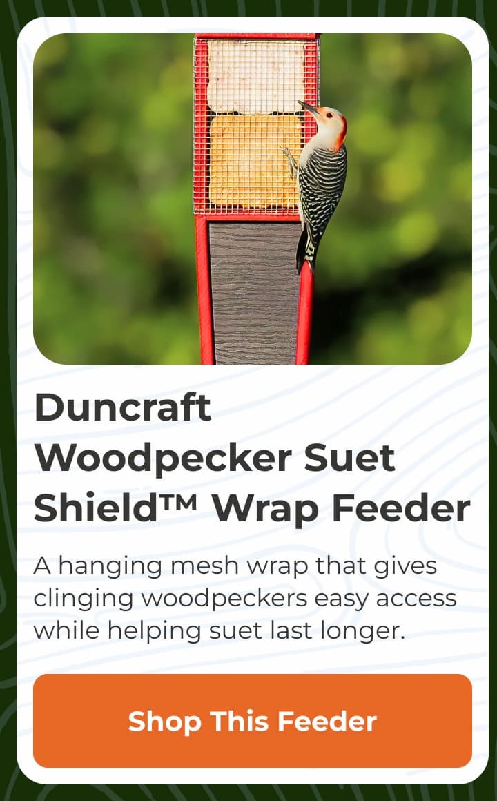 Duncraft Woodpecker Suet Shield Wrap Feeder