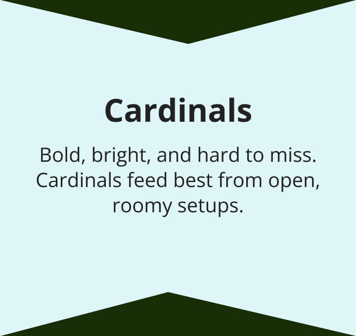Cardinals